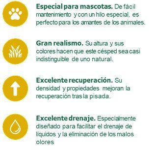 caracteristicas denni