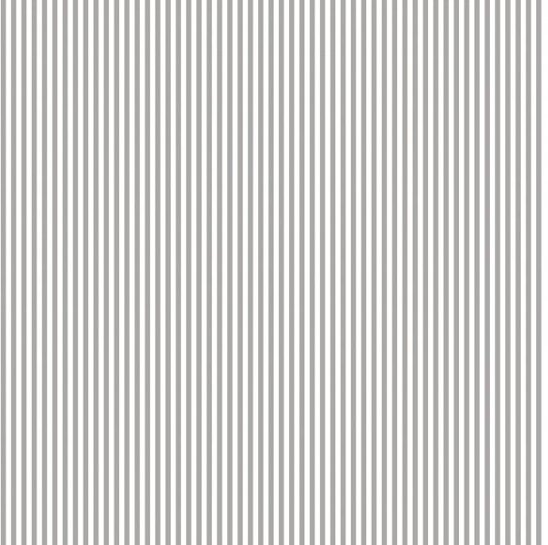 8020 20