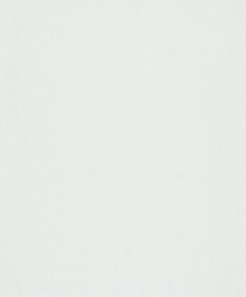 BH2010a