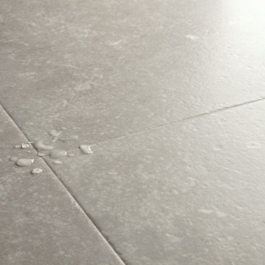 suelo lamiando 1 muse mus5485