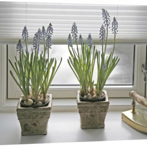 Cortina plisada ventana