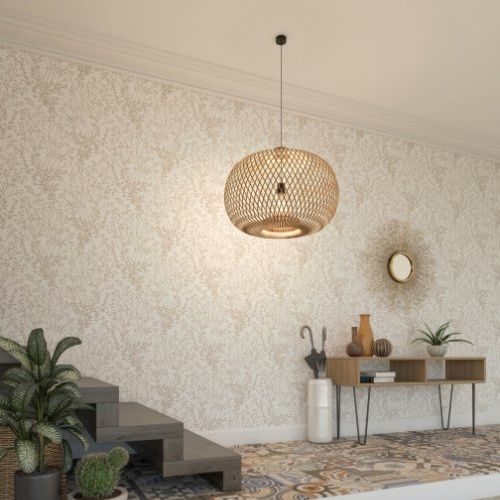 AMBIENTE 8004 10